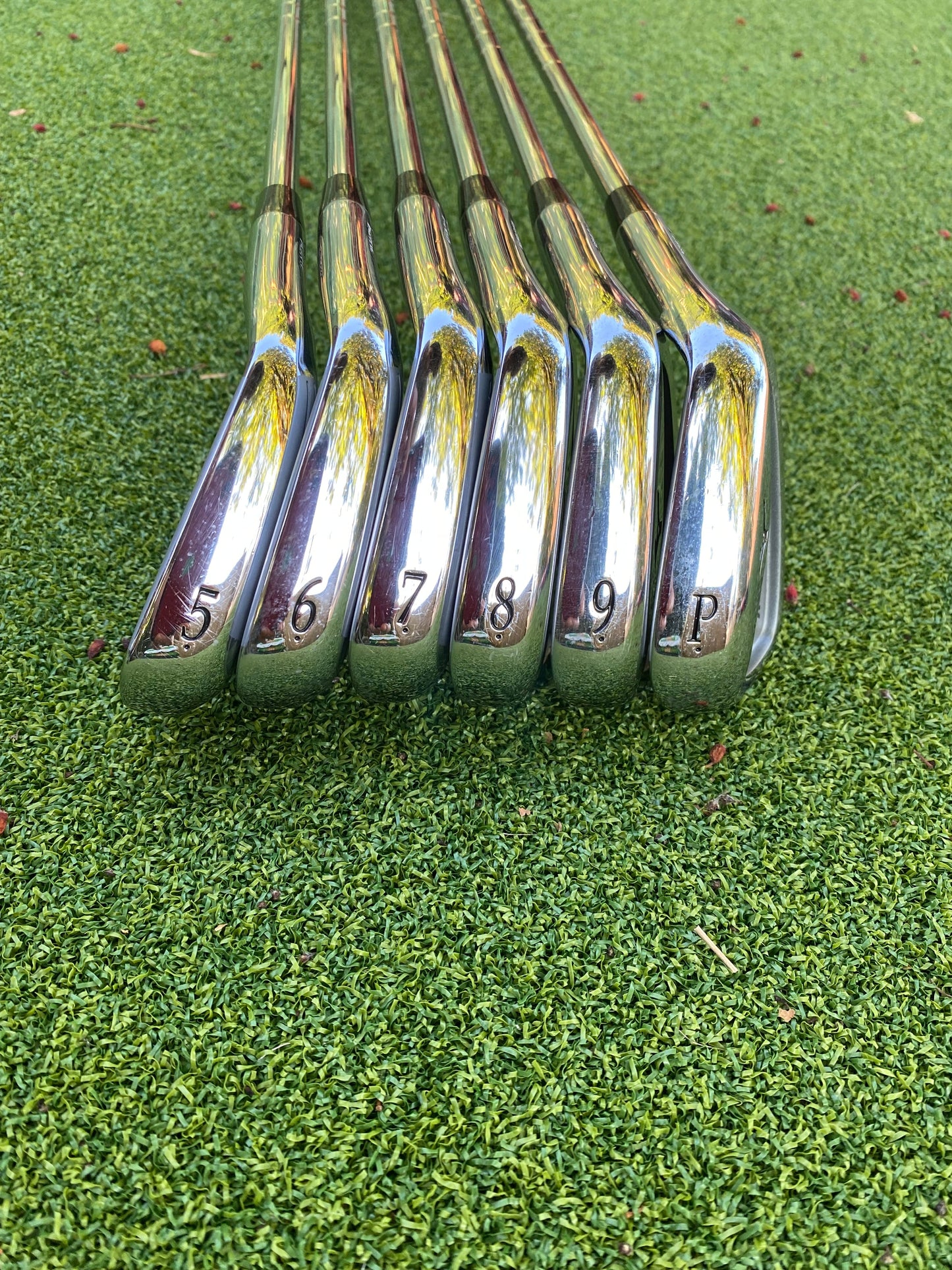 Mizuno MP-54 irons 5-PW NSPro950 steel stiff